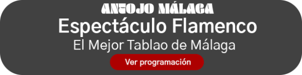 Flamenco Malaga Centro. El mejor espectáculo y tablao flamenco de la ciudad.